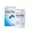 ANGIN HEEL SD TABLETTEN 50 гомеопатические таблетки от тонзиллита ,50 шт ANGIN HEEL SD TABLETTEN 50 гомеопатические таблетки от тонзиллита ,50 шт