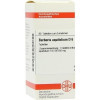 BERBERIS AQUIF D 6,80 Stk. БАРБЕРИС АКВИФ D6,80 шт. BERBERIS AQUIF D 6,80 Stk. БАРБЕРИС АКВИФ D6,80 шт.
