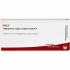 HELLEBORUS NIG E PL TO D 4,10x1 ml HELLEBORUS NIG E PL TO D 4,10x1 мл HELLEBORUS NIG E PL TO D 4,10x1 ml HELLEBORUS NIG E PL TO D 4,10x1 мл