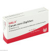 Carum carvi Zäpfchen,10x2 g Карум Карви.,10x2 г Carum carvi Zäpfchen,10x2 g Карум Карви.,10x2 г