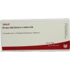 ATROPA BELLAD E RADICE D 6,10x1 ml АТРОПА БЕЛЛАДА И КОРЕНЬ D 6,10x1 мл ATROPA BELLAD E RADICE D 6,10x1 ml АТРОПА БЕЛЛАДА И КОРЕНЬ D 6,10x1 мл