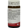 Aurum/Equisetum I,20 g Золото/Хвощ I,20 г Aurum/Equisetum I,20 g Золото/Хвощ I,20 г