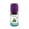 PFEFFERMINZE BIOAROMA BALDINI,5 ml БИОАРОМАТ МЯТЫ БАЛЬДИНИ,5 мл PFEFFERMINZE BIOAROMA BALDINI,5 ml БИОАРОМАТ МЯТЫ БАЛЬДИНИ,5 мл