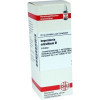IMPERATORIA OSTR URT,20 ml ИМПЕРИЯ ОСТР ЮРТ,20 мл IMPERATORIA OSTR URT,20 ml ИМПЕРИЯ ОСТР ЮРТ,20 мл