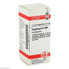 HYPERICUM D200,10 g Зверобой Д200,10 г HYPERICUM D200,10 g Зверобой Д200,10 г