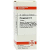 PYROGENIUM D 12 Tabletten,80 Stk. ПИРОГЕНИЙ Д 12 таблеток,80 шт. PYROGENIUM D 12 Tabletten,80 Stk. ПИРОГЕНИЙ Д 12 таблеток,80 шт.