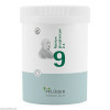 Biochemie Pflüger Nr. 9 Natrium phosphoricum D 6,1000 Stk. Биохимия Пфлюгера № 9 Натрум фосфорикум Д 6,1000 шт.