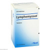 LYMPHOMYOSOT,Selten treten allergische Hautreaktionen auf. ЛИМФОМИОЗОТ,Аллергические кожные реакции возникают редко. LYMPHOMYOSOT,Selten treten allergische Hautreaktionen auf. ЛИМФОМИОЗОТ,Аллергические кожные реакции возникают редко.