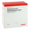 STREPTOCOCCUS HA INJ NOS,100 Stk. СТРЕПТОКОККУС ХА ИНЖ США,100 шт. STREPTOCOCCUS HA INJ NOS,100 Stk. СТРЕПТОКОККУС ХА ИНЖ США,100 шт.