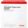GLANDULA THYM SUI INJ O,100 Stk. GLANDULA THYM SUI INJ O,100 шт. GLANDULA THYM SUI INJ O,100 Stk. GLANDULA THYM SUI INJ O,100 шт.