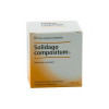 Guna - Solidago Compositum s - homeopathic medicine 10 vials, Guna - Solidago Compositum s - гомеопатический препарат 10 флаконов, Guna - Solidago Compositum s - homeopathic medicine 10 vials, Guna - Solidago Compositum s - гомеопатический препарат 10 флаконов,