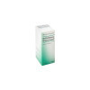 Guna - Belladonna Homaccord - Homeopathic Remedy Drops 30 ml, Guna - Belladonna Homaccord - гомеопатические капли 30 мл,