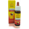 Guna - Resource Enerjoy Flowers Bach-Energy And Vitality Drops 20 Ml, Guna - Resource Enerjoy Flowers Баха-Энергия и жизненная сила капли 20 мл,