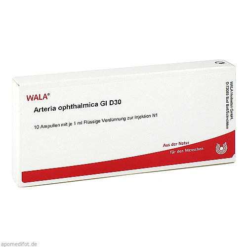 Arteria ophthalmica Gl D30
