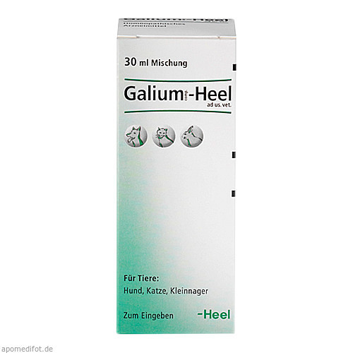 GALIUM COMP.-Heel ad us.vet.Tropfen,30 ml GALIUM COMP.-Heel ad us.vet.Tropfen,30 мл GALIUM COMP.-Heel ad us.vet.Tropfen,30 ml GALIUM COMP.-Heel ad us.vet.Tropfen,30 мл