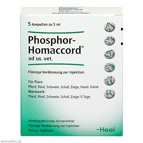 PHOSPHOR HOMACCORD ad us.vet.Ampullen,5 Stk. ФОСФОР HOMACCORD в ампулах.вет.,5 шт. PHOSPHOR HOMACCORD ad us.vet.Ampullen,5 Stk. ФОСФОР HOMACCORD в ампулах.вет.,5 шт.