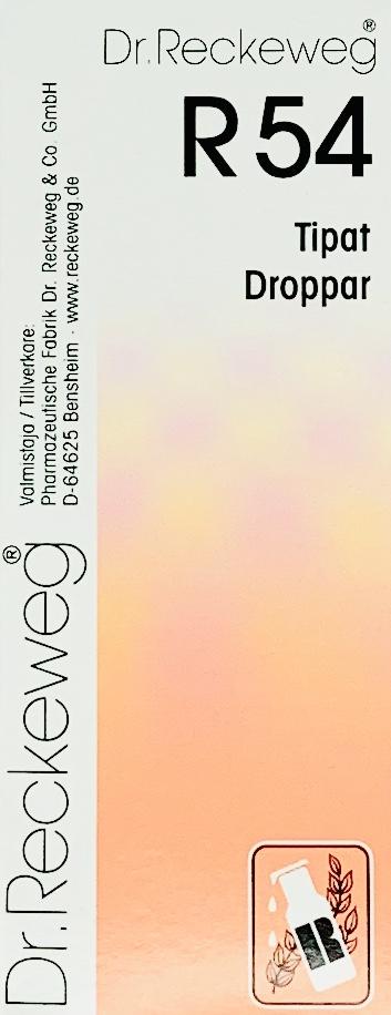 DR RECKEWEG R54 H387FIN 50 ml доктор Реккевег R54 ,гомеопатич.капли при плохой успеваемости у детей,50 мл