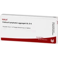 FOLLICULI LYMPH AGG GL D 6 FOLLICULI LYMPH AGG GL D 6