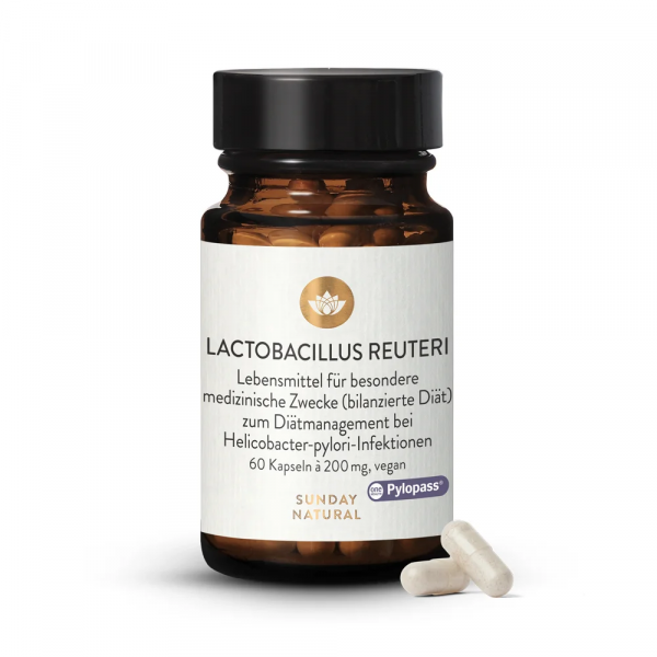 Lactobacillus Reuteri Sunday  от хеликобактер пилори,60 капсул