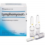 LYMPHOMYOSOT N Ampullen, ЛИМФОМИОЗОТ N, ампулы, 10 шт. LYMPHOMYOSOT N Ampullen, ЛИМФОМИОЗОТ N, ампулы, 10 шт.
