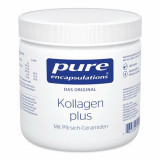 Pure Encapsulations Kollagen plus,140 g Чистые инкапсуляции Коллаген плюс,140 г