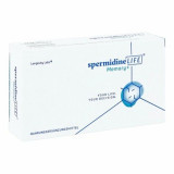 spermidineLIFE Memory+ Спермидин для поддержки конгитивных функций мозга, 60 шт. spermidineLIFE Memory+ Спермидин для поддержки конгитивных функций мозга, 60 шт.