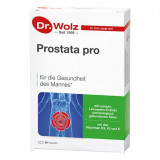 PROSTATA PRO Dr.Wolz Kapseln Простата про доктор Вольц,40 капсул