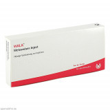 Meteoreisen Inject,10x1 ml Метеорные требования Inject,10x1 мл Meteoreisen Inject,10x1 ml Метеорные требования Inject,10x1 мл