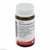 RHUS TOXICODENDRON COMP,20 g РУС ТОКСИКОДЕНДРОН КОМП.,20 г RHUS TOXICODENDRON COMP,20 g РУС ТОКСИКОДЕНДРОН КОМП.,20 г