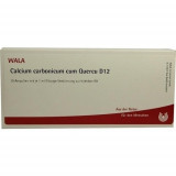 CALCIUM CARB C QUERCU D12,10x1 ml КАЛЬЦИЙ КАРБОНИКУМ, жидкий раствор D12,10x1 мл