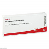 NERVUS OCULOMOTORIU GL D 8,10x1 ml ГЛАЗОМОТОРНЫЙ НЕРВ GL D 8,10x1 мл NERVUS OCULOMOTORIU GL D 8,10x1 ml ГЛАЗОМОТОРНЫЙ НЕРВ GL D 8,10x1 мл