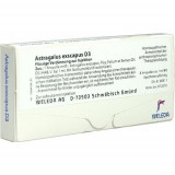 ASTRAGALUS EXSCAPUS D 3,8x1 ml Астрагал EXSCAPUS D 3,8x1 мл ASTRAGALUS EXSCAPUS D 3,8x1 ml Астрагал EXSCAPUS D 3,8x1 мл