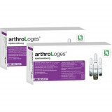 arthroLoges Injektionslösung,100x2 ml раствор для инъекций артроЛогес,100х2 мл arthroLoges Injektionslösung,100x2 ml раствор для инъекций артроЛогес,100х2 мл