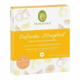 Set Duftendes Zitrusglück,1 Pck. Набор ароматного цитрусового счастья,1 шт. Set Duftendes Zitrusglück,1 Pck. Набор ароматного цитрусового счастья,1 шт.