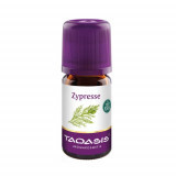 Zypresse BIO,5 ml Органический кипарис,5 мл Zypresse BIO,5 ml Органический кипарис,5 мл