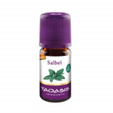 SANDELHOLZOEL,5 ml САНДЕЛХОЛЬЗОЭЛЬ,5 мл SANDELHOLZOEL,5 ml САНДЕЛХОЛЬЗОЭЛЬ,5 мл