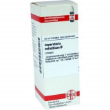 IMPERATORIA OSTR URT,20 ml ИМПЕРИЯ ОСТР ЮРТ,20 мл IMPERATORIA OSTR URT,20 ml ИМПЕРИЯ ОСТР ЮРТ,20 мл