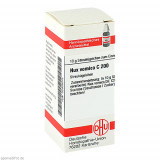 NUX VOMICA C200,10 g НУКС ВОМИКА C200,10 г NUX VOMICA C200,10 g НУКС ВОМИКА C200,10 г