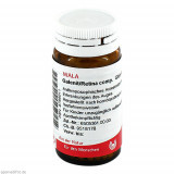 GALENIT/RETINA COMP,20 g ГАЛЕНИТ/РЕТИНА КОМП.,20 г GALENIT/RETINA COMP,20 g ГАЛЕНИТ/РЕТИНА КОМП.,20 г