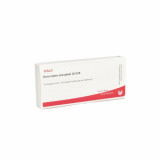 DURA MATER ENCEPHAL GL D30,10x1 ml ТВЕРДАЯ МАСТЕРСКАЯ ЭНЦЕФАЛЬНАЯ GL D30,10x1 мл DURA MATER ENCEPHAL GL D30,10x1 ml ТВЕРДАЯ МАСТЕРСКАЯ ЭНЦЕФАЛЬНАЯ GL D30,10x1 мл