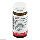 ECHINACEA/ARGENTUM,20 g Эхинацея/Серебро,20 г ECHINACEA/ARGENTUM,20 g Эхинацея/Серебро,20 г