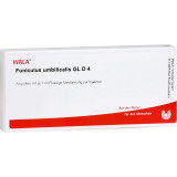 FUNICULUS UMBILICALIS GL D 4 ампулы FUNICULUS UMBILICALIS GL D 4 ампулы