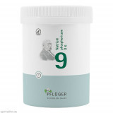 Biochemie Pflüger Nr. 9 Natrium phosphoricum D 6,1000 Stk. Биохимия Пфлюгера № 9 Натрум фосфорикум Д 6,1000 шт.