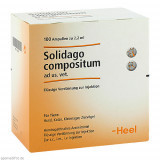 SOLIDAGO COMPOSITUM ad us.vet.Ampullen, SOLIDAGO COMPOSITUM ad us.vet.Ampullen,