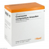 COENZYME COMP,Inhalt pharmazeutisch geprüft durch
Apothekerin Hazal Köse КОЭНЗИМНЫЙ КОМП.,Содержимое фармацевтически протестировано
Фармацевт Хазал Кёсе COENZYME COMP,Inhalt pharmazeutisch geprüft durch
Apothekerin Hazal Köse КОЭНЗИМНЫЙ КОМП.,Содержимое фармацевтически протестировано
Фармацевт Хазал Кёсе