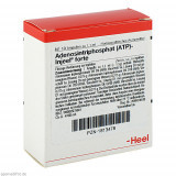 ATP INJ FORTE HOM ALL,10 Stk. ATP INJ FORTE HOM ALL,10 шт. ATP INJ FORTE HOM ALL,10 Stk. ATP INJ FORTE HOM ALL,10 шт.