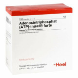 ATP INJ FORTE HOM ALL,100 Stk. ATP INJ FORTE HOM ALL,100 шт. ATP INJ FORTE HOM ALL,100 Stk. ATP INJ FORTE HOM ALL,100 шт.