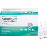 ATROPINUM COMPOSITUM ad us.vet.Ampullen,50 Stk. СОЕДИНЕНИЕ АТРОПИНА нам.вет.Ампуллен,50 шт. ATROPINUM COMPOSITUM ad us.vet.Ampullen,50 Stk. СОЕДИНЕНИЕ АТРОПИНА нам.вет.Ампуллен,50 шт.
