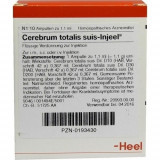 CEREBRUM TO SUIS INJ OR,10 Stk. МОЗГОВЫЙ МОЗГ В SUIS INJ OR,10 шт. CEREBRUM TO SUIS INJ OR,10 Stk. МОЗГОВЫЙ МОЗГ В SUIS INJ OR,10 шт.