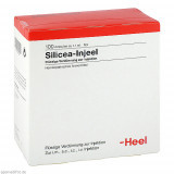 SILICEA INJ,100 Stk. СИЛИЦЕЯ ИНЖ,100 шт. SILICEA INJ,100 Stk. СИЛИЦЕЯ ИНЖ,100 шт.